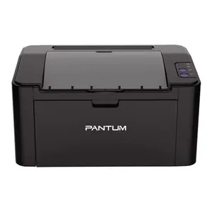 Замена памперса на принтере Pantum в Самаре